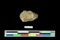 藏品(霰石)的圖片